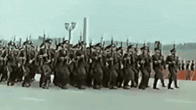 a large group of soldiers marching down the street