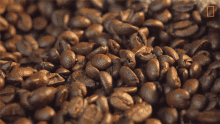 Coffee Beans National Geographic GIF - Coffee Beans National Geographic Caffeine GIFs