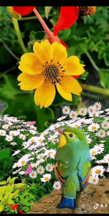 Beautiful Day Bird GIF - Beautiful Day Bird Flower GIFs
