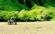 a person is riding a four wheeler in a field with trees in the background