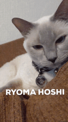 Ryoma Hoshi GIF - Ryoma Hoshi Cat GIFs