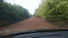 driving travelling on the road forest empty road
