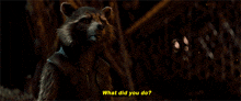Rocket Racoon What Did You Do GIF - Rocket Racoon What Did You Do GIFs