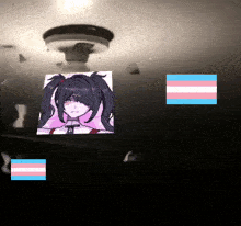 a picture of a girl with pigtails and a transgender flag behind her