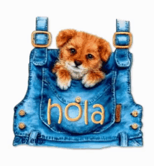 Hola Dog GIF - Hola Dog Puppy GIFs