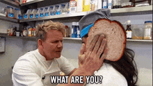 gordon ramsay idiot sandwich angry mad what are you