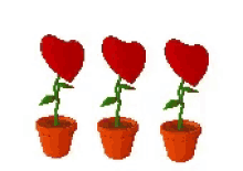 Roses Pot GIF - Roses Pot Animation GIFs