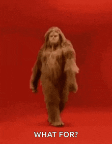 Walking Into My Wax Appoinment Hairy GIF - Walking Into My Wax Appoinment Hairy Sassy GIFs