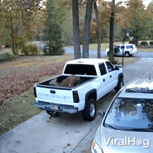 Deer Leaping Away From The Truck Deer GIF