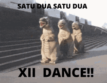 xii dance