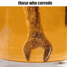 a wrench in a container with the words those who corrode