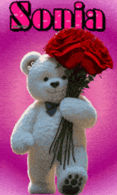a white teddy bear is holding a bouquet of red roses with the name sonia written on the bottom