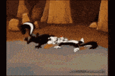 a cartoon of a skunk and a cat laying on the ground