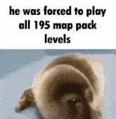 He Was Forced To Play All 195 Map Pack Levels GIF