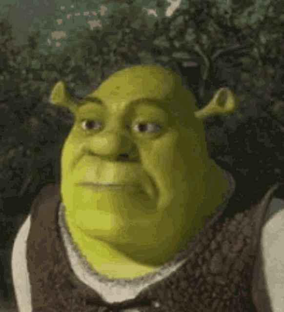 Shrek meme face