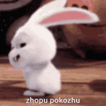 a white rabbit with pink ears is standing on a wooden floor and says " zhopu pokozhu "