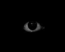 I Can See You Dark GIF - I Can See You Dark Eye GIFs