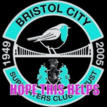 Bristol City B City GIF