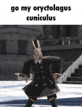 a picture of a person with the words go my oryctolagius cuniculus on the bottom