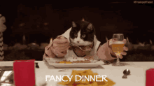 Fancy Cat Dinner GIF