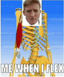 Me When I Flex Skeleton GIF - Me When I Flex Skeleton Bones GIFs