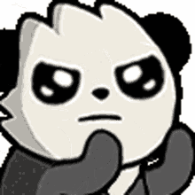 panda angry