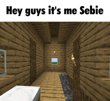 Minecraft Sebie GIF - Minecraft Sebie Minecraft Memes GIFs