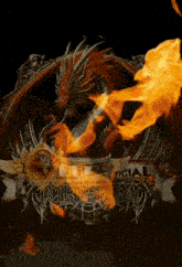 a dragon with flames coming out of its mouth is on a black background