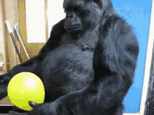 Se Pincharon Los Globos Amarillos Gorilla GIF - Se Pincharon Los Globos Amarillos Gorilla Balloon GIFs