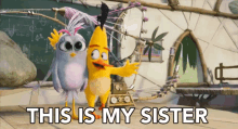 This Is My Sister Sibling GIF