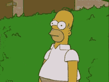 Homer Bushes GIF