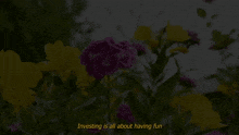 the word fun is surrounded by purple and green stars