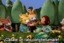conchetumare callate