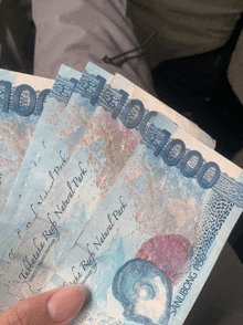 a person is holding a bunch of money that says san lubong pesos on it