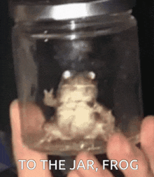 a person is holding a frog in a jar with the words to the jar frog below it