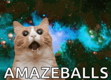 a cat with a surprised look on its face and the words amazeballs written below it