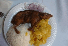 a plate of food with rice and potatoes and a fried rat on top