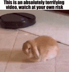 a rabbit is laying on the floor next to a robot vacuum cleaner .