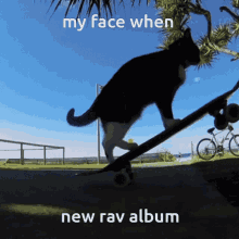 Rav Album GIF