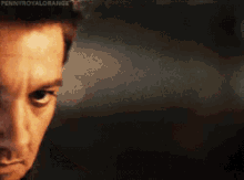 Jeremy Renner Hawkeye GIF - Jeremy Renner Hawkeye Stare GIFs
