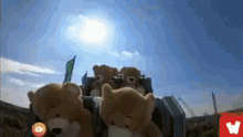 bears roller coaster teddy bear amusement park ride