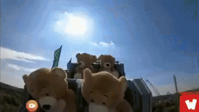 Bears Roller Coaster GIF Bears Roller Coaster Teddy Bear Discover Share GIFs