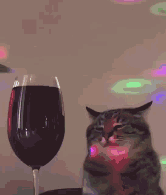 Sad Cat Whit A Glass Of Wine GIF - Sad Cat Whit A Glass Of Wine GIFs