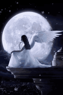 Angel Moonlight GIF