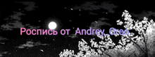 a black and white photo of a full moon with the name andrey on the bottom right