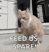 a cat is sitting on the floor with a bowl of food in its paws .