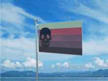 a flag that has a skull on it