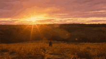 Sunset Running GIF - Sunset Running Escape GIFs