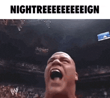 a man is screaming in a wrestling ring with the words nightreeeeeeeign above him