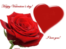 Happy Valentines Day Roses GIF - Happy Valentines Day Roses Red Roses GIFs